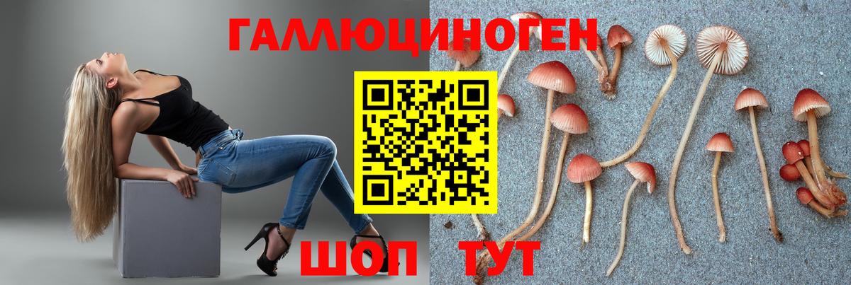 Шали  Псилоцибиновые грибы ЛСД  Вход с VPN 